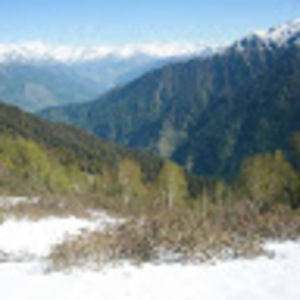 Meet your Posher, Roo